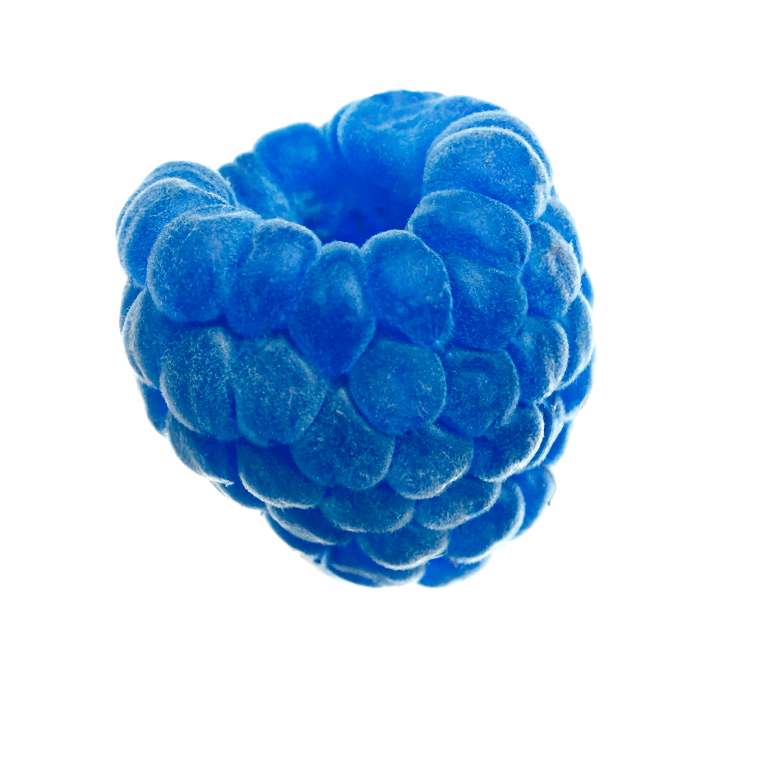 Blue Raspberry