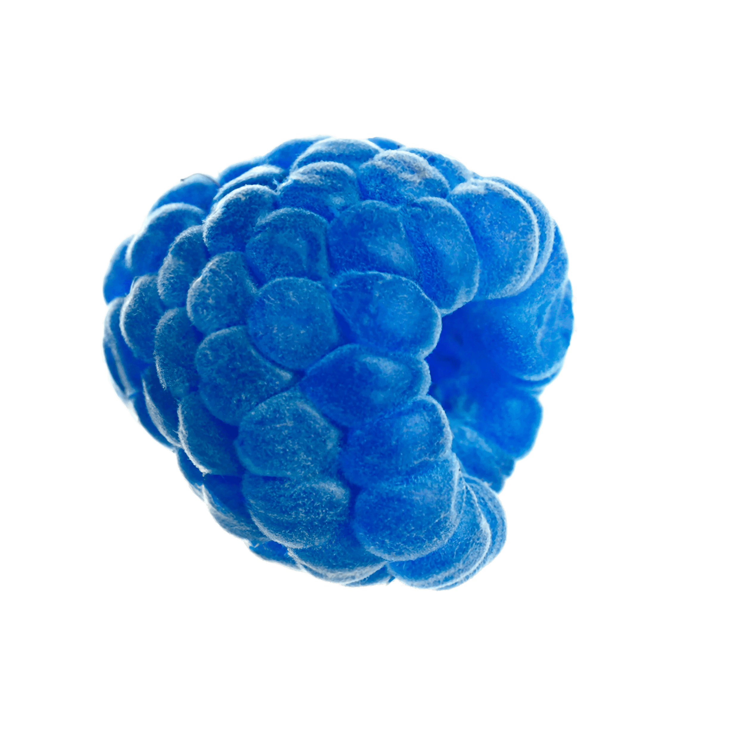 Blue Raspberry