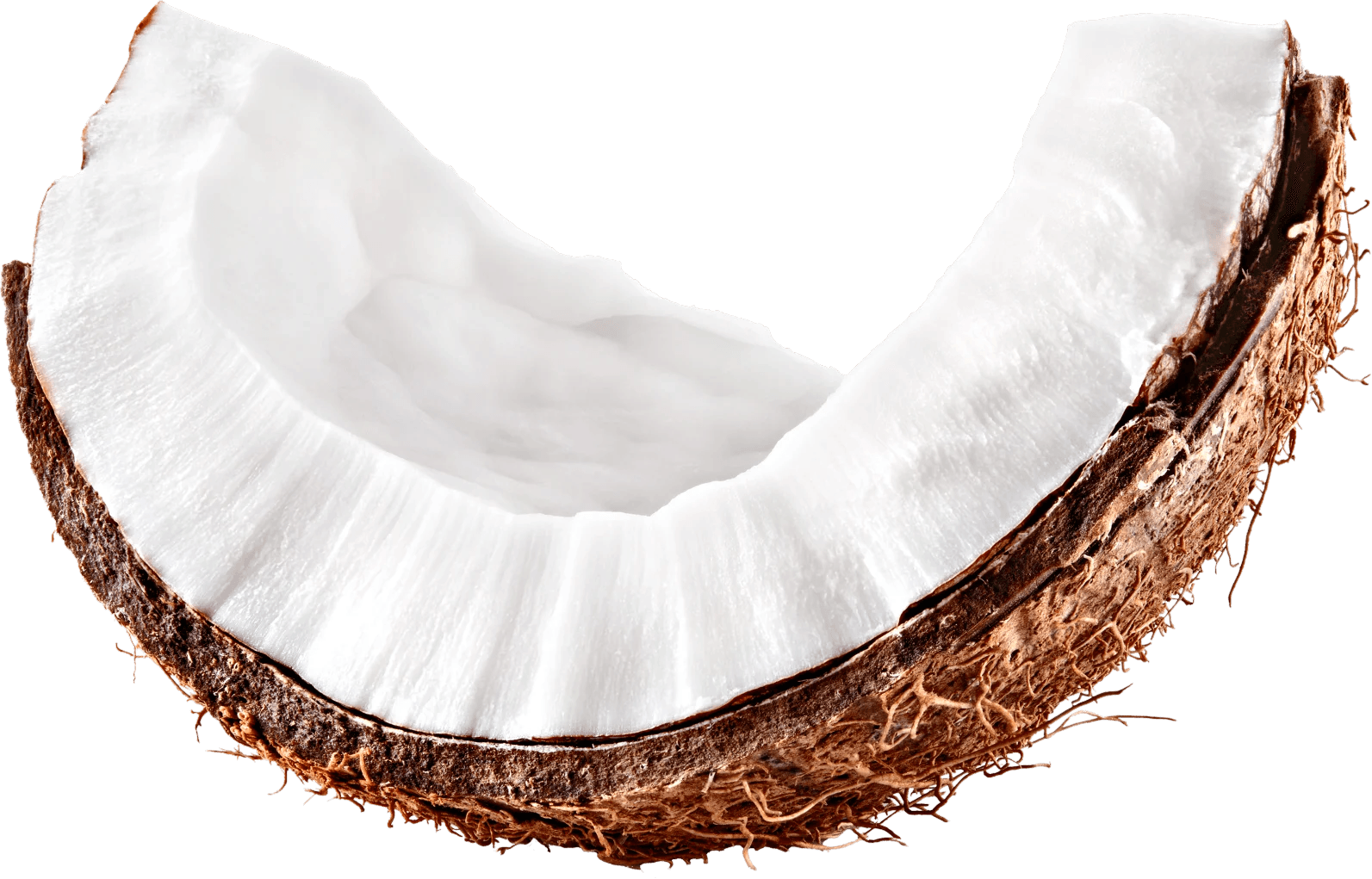 Sliced Coconut